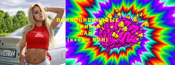 бошки Бугульма