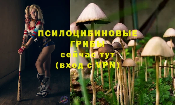 мдпв Арсеньев