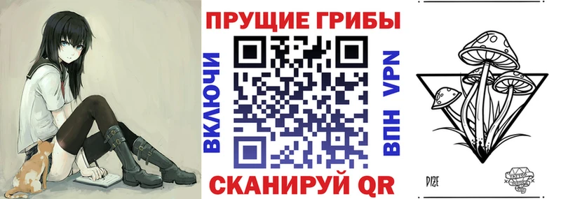 цена   Пошехонье  Галлюциногенные грибы Psilocybine cubensis 